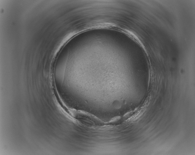 X0000068850851200605081213