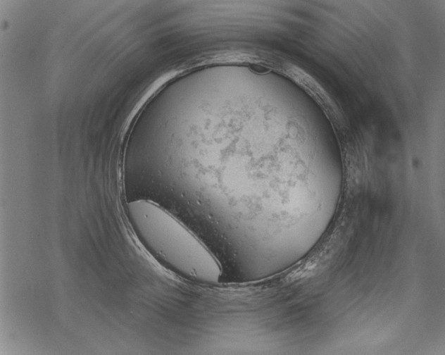 X0000068850852200605081213