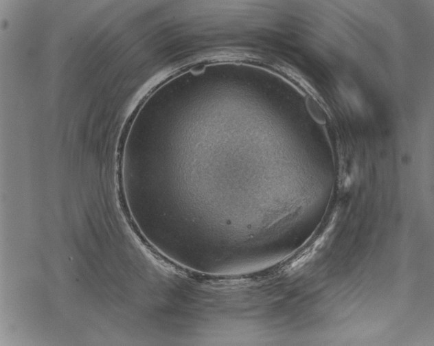 X0000068850853200605081213