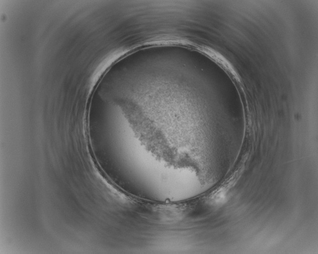 X0000068850855200605081213