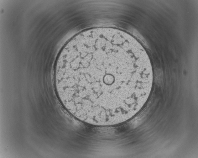 X0000068850856200605081213