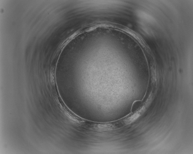 X0000068850857200605081213