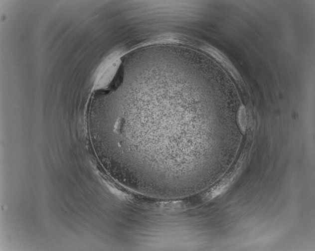 X0000068850858200605081213