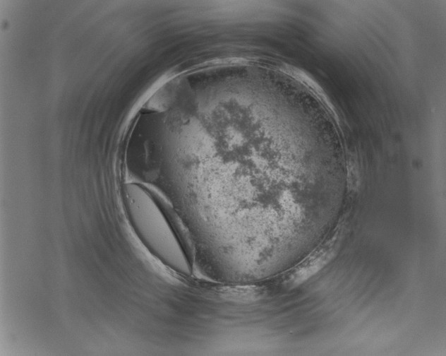 X0000068850859200605081213