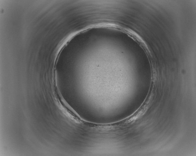 X0000068850860200605081213