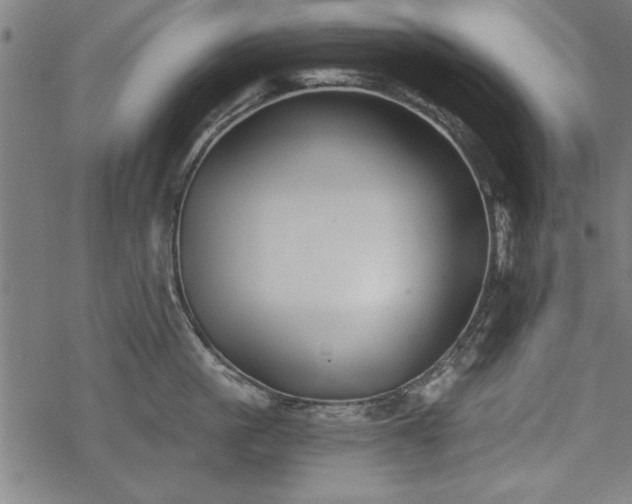 X0000068850861200605081213