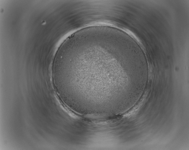 X0000068850862200605081213