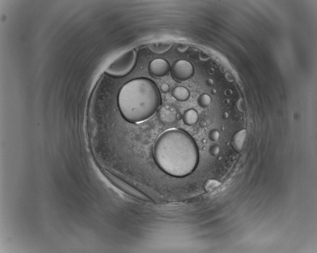 X0000068850863200605081213