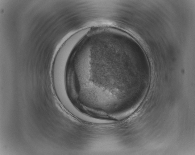 X0000068850864200605081213