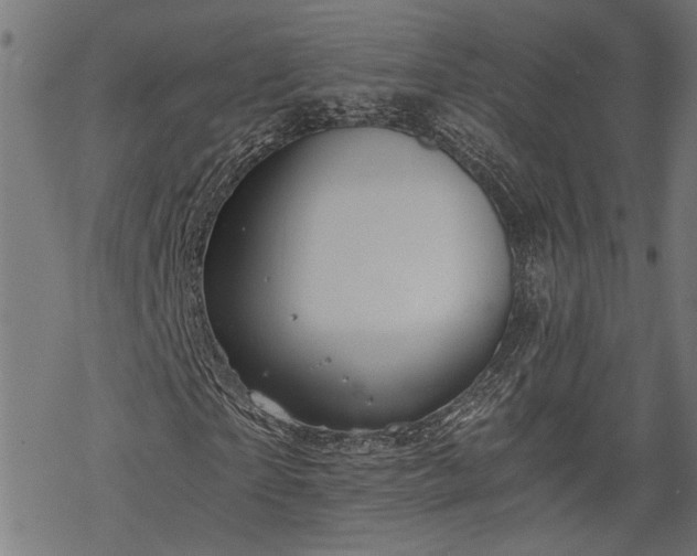 X0000068850865200605081212