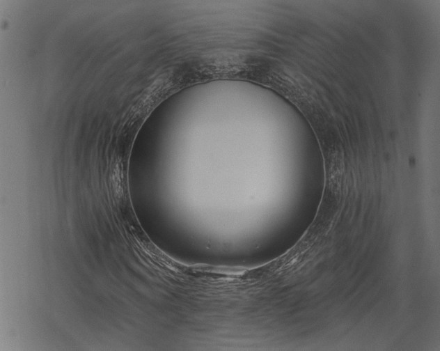 X0000068850866200605081212