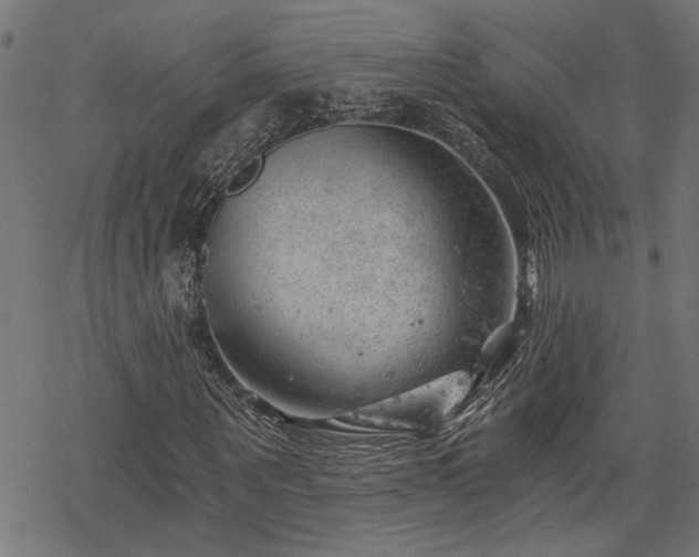 X0000068850867200605081212