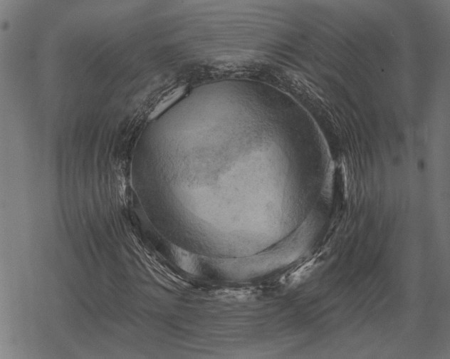 X0000068850868200605081212