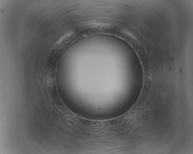 X0000068850869200605081212