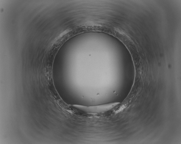 X0000068850870200605081212