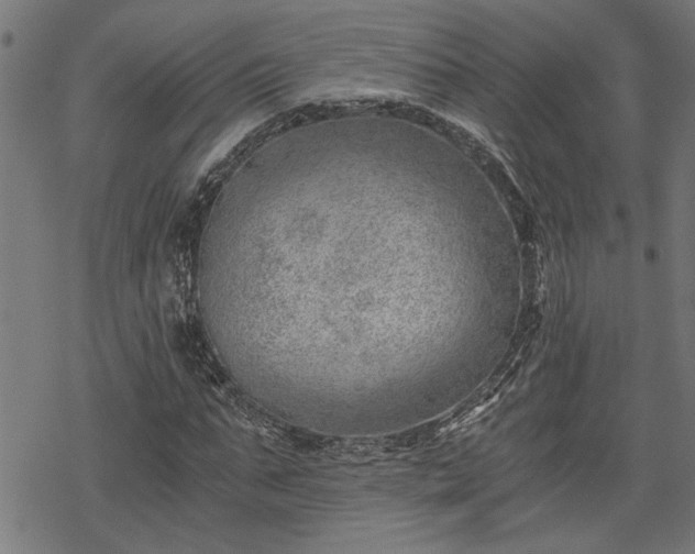 X0000068850871200605081212