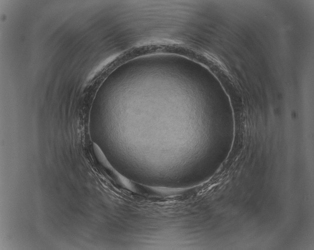 X0000068850872200605081212