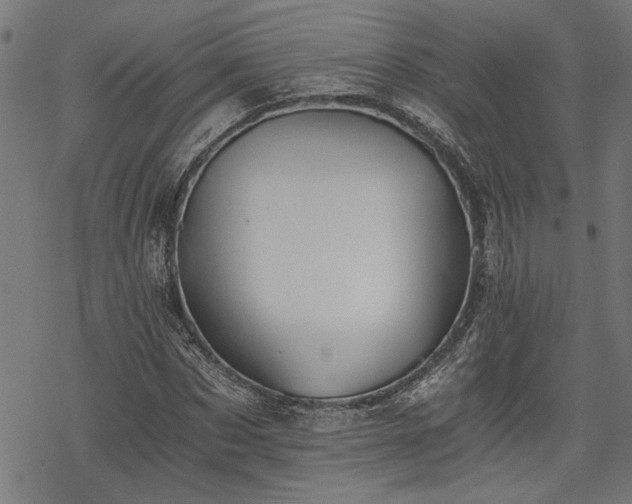 X0000068850873200605081212