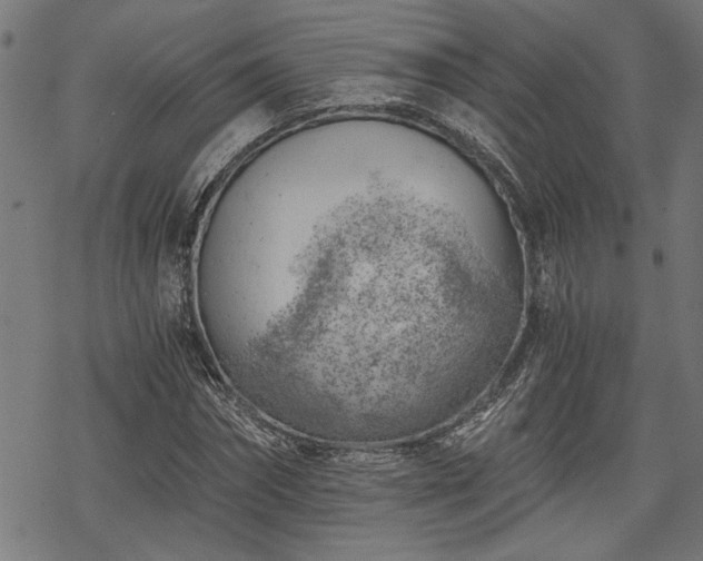 X0000068850874200605081212