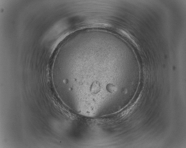 X0000068850875200605081212