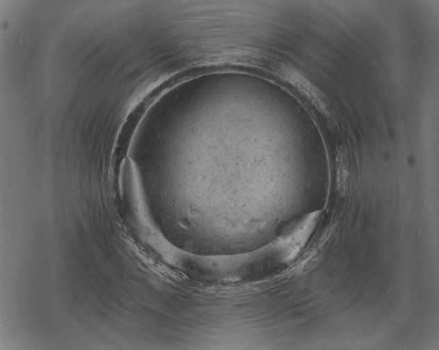 X0000068850876200605081212