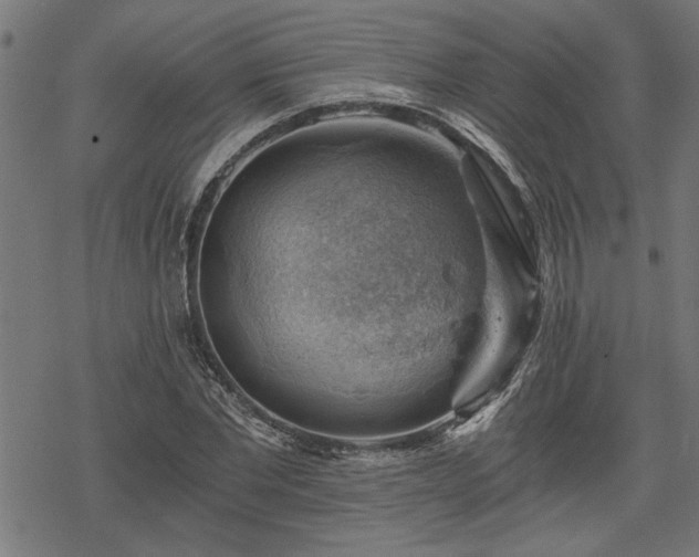 X0000068850877200605081212