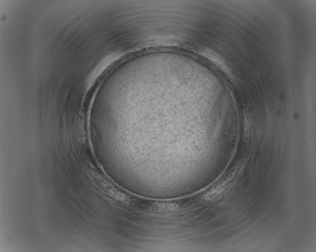 X0000068850878200605081212