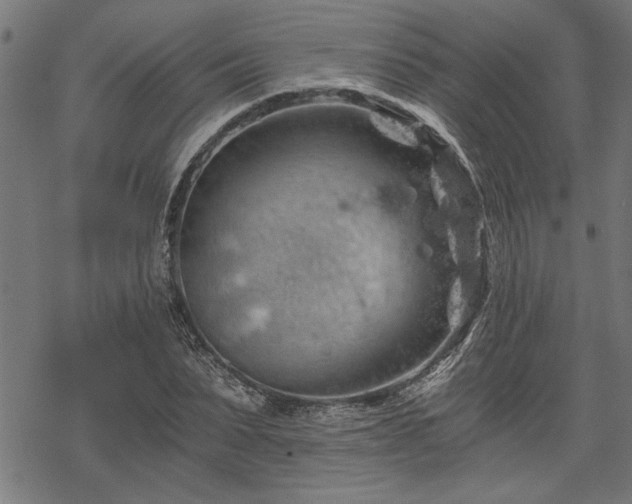 X0000068850879200605081212