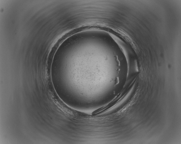 X0000068850880200605081212