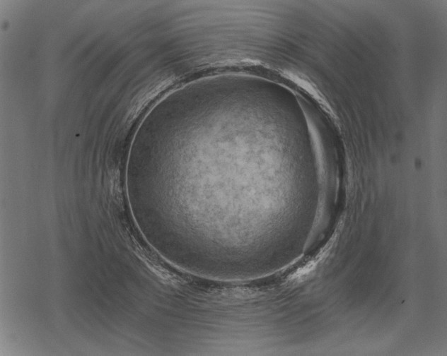 X0000068850881200605081212