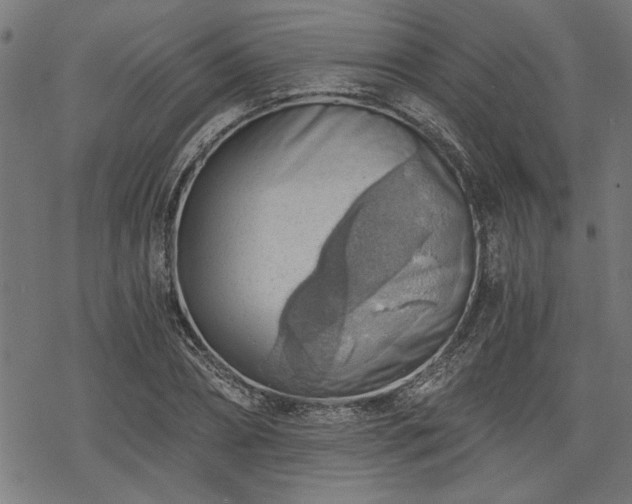 X0000068850882200605081212