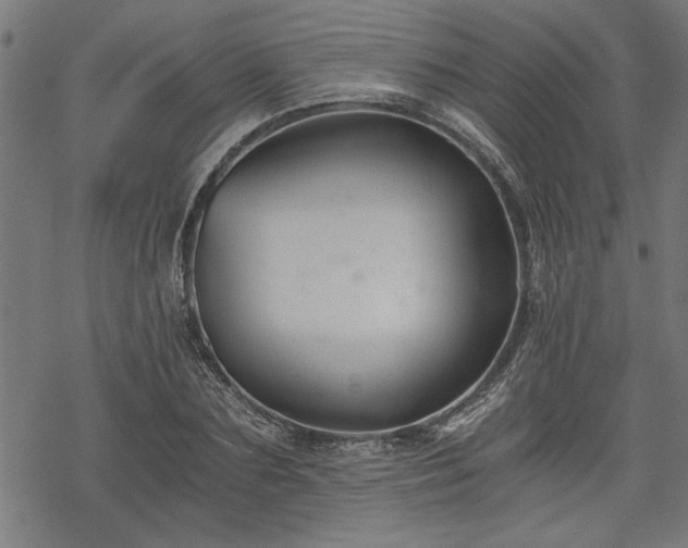 X0000068850883200605081212