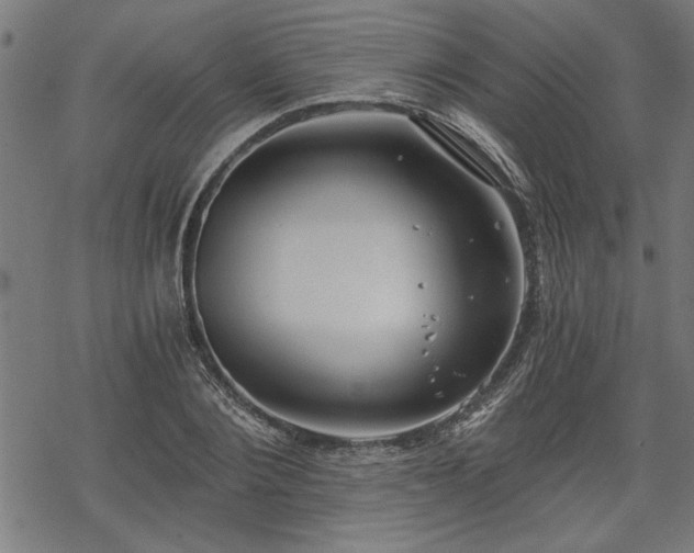 X0000068850884200605081212