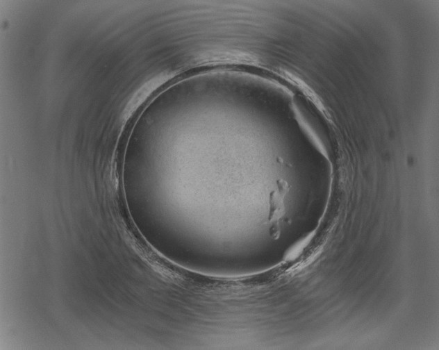 X0000068850885200605081212