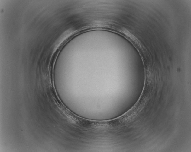 X0000068850886200605081212