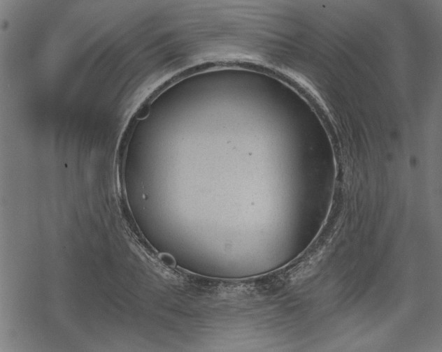 X0000068850887200605081212