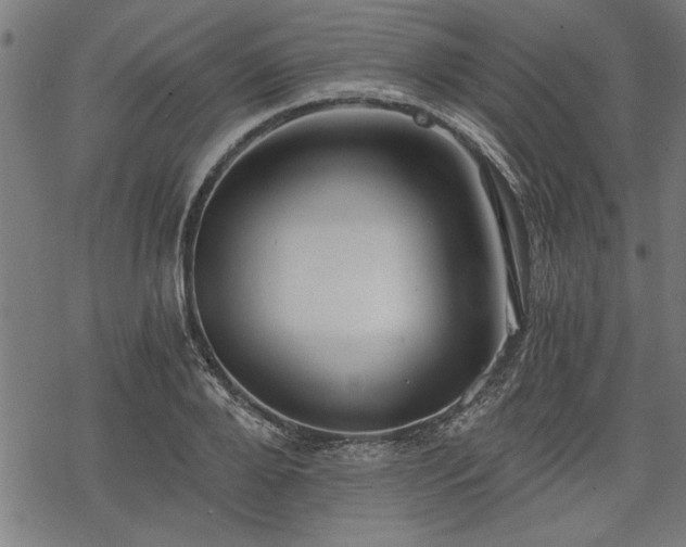 X0000068850888200605081212