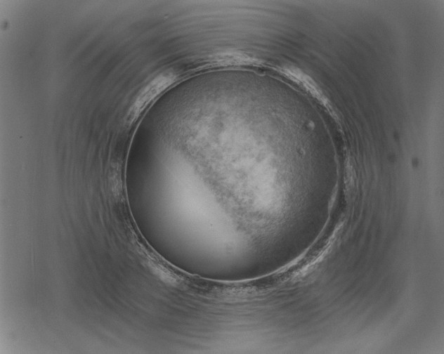 X0000068850889200605081212