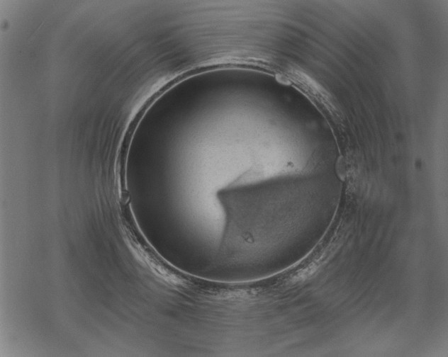 X0000068850892200605081212