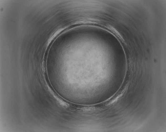 X0000068850893200605081212