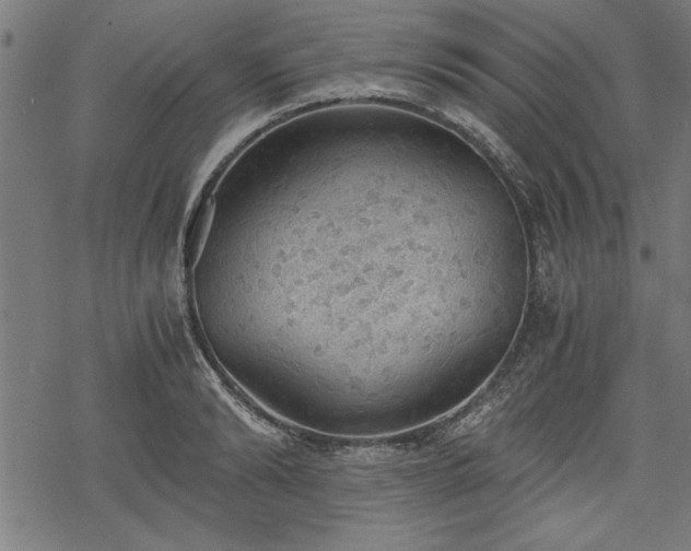 X0000068850894200605081212