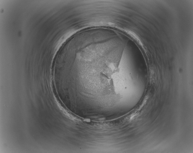 X0000068850895200605081212