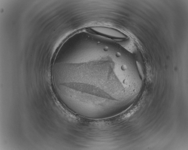 X0000068850896200605081212