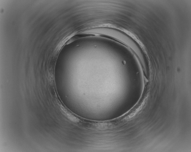 X0000068850897200605081212