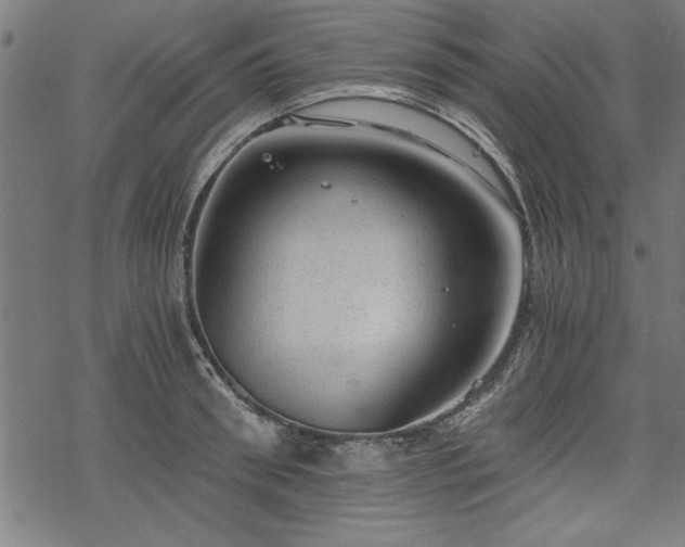 X0000068850898200605081212