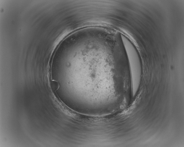 X0000068850899200605081212