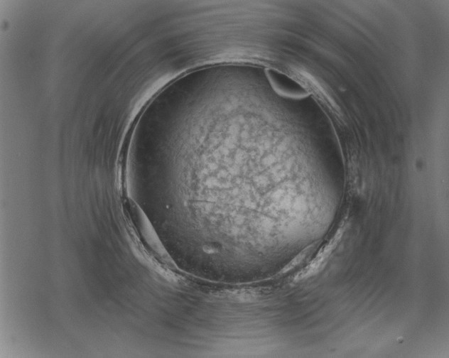 X0000068850900200605081212