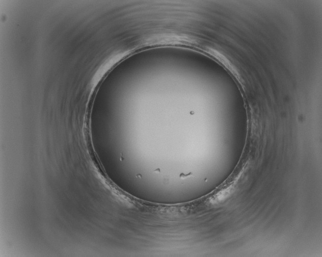 X0000068850901200605081212