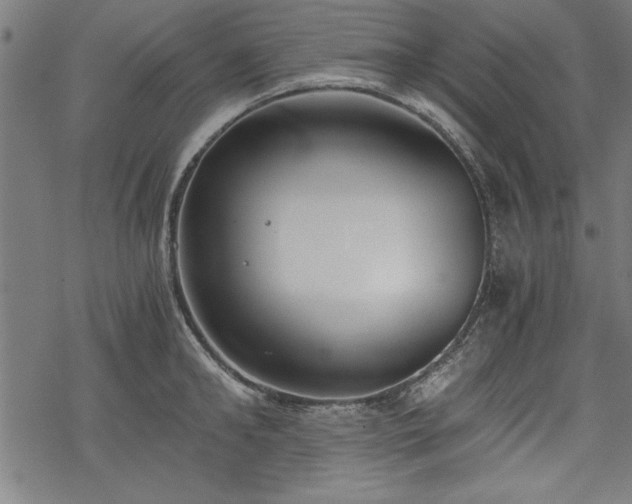 X0000068850902200605081212