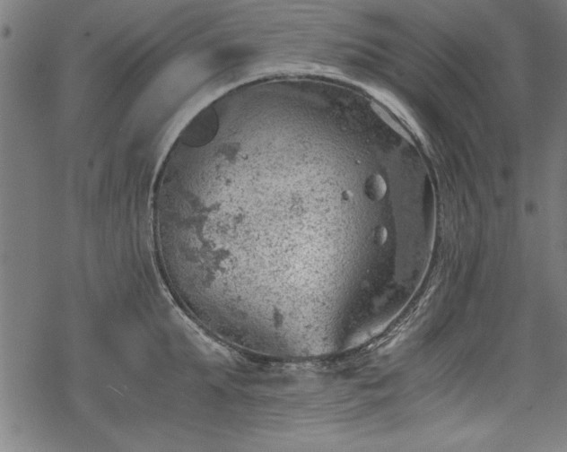 X0000068850903200605081212